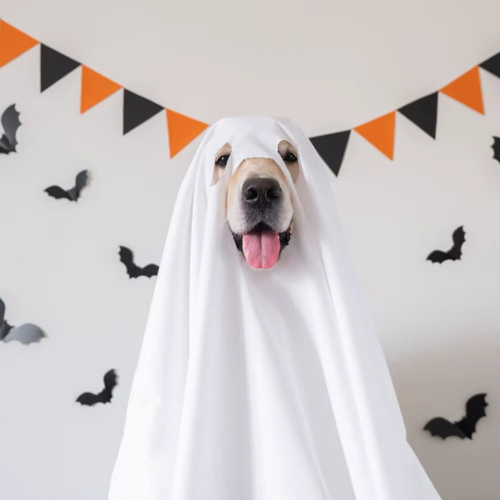 Pet Transformation Costume Breathable Dog Ghost Cape Decorative Scary Ghost Dog Cloak Soft Pet Cosplay Clothes Halloween